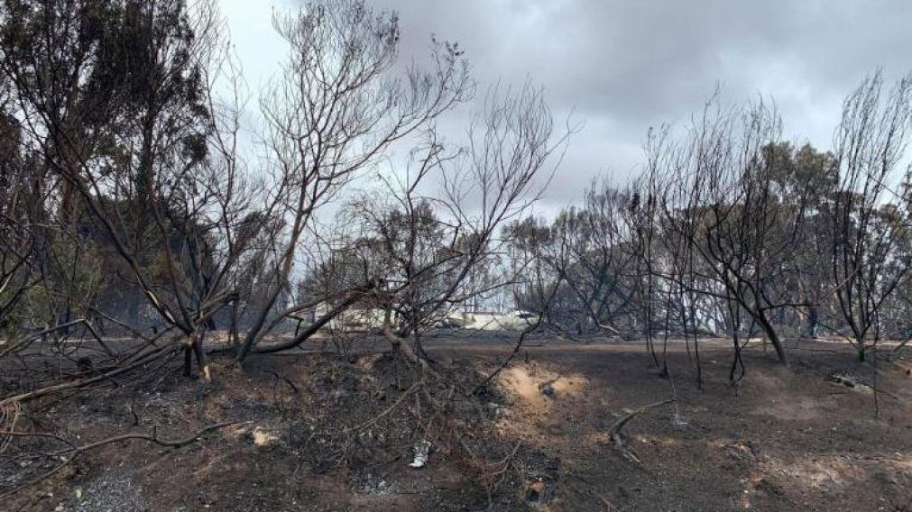 Un territorio devastado por los incendios forestales (CNN).