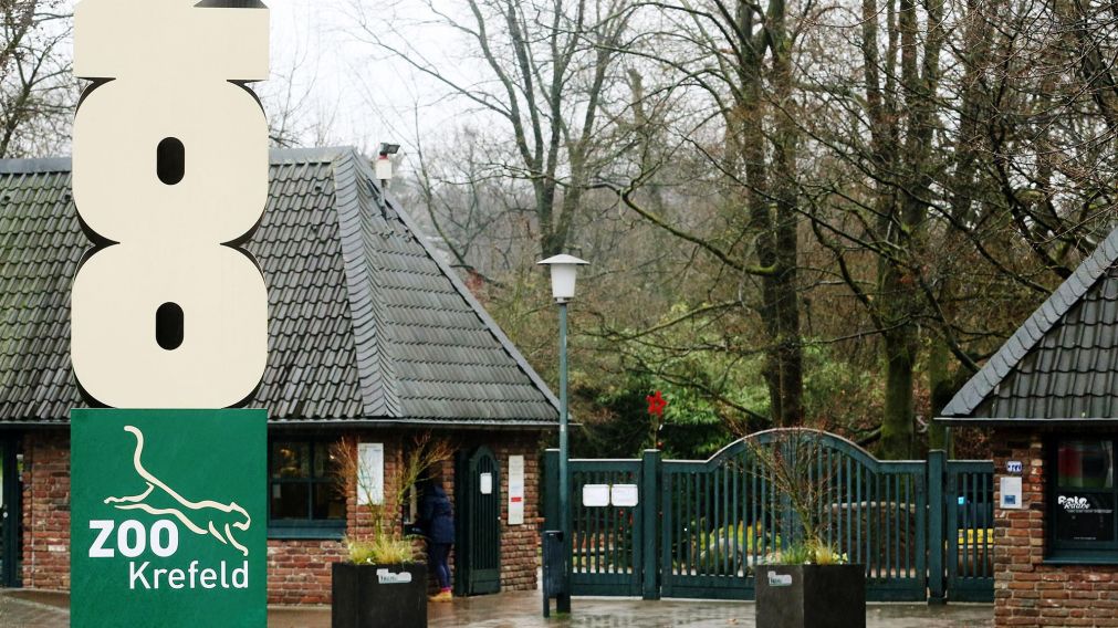 El zoológico de Krefeld se prendió fuego y murieron 30 animales.