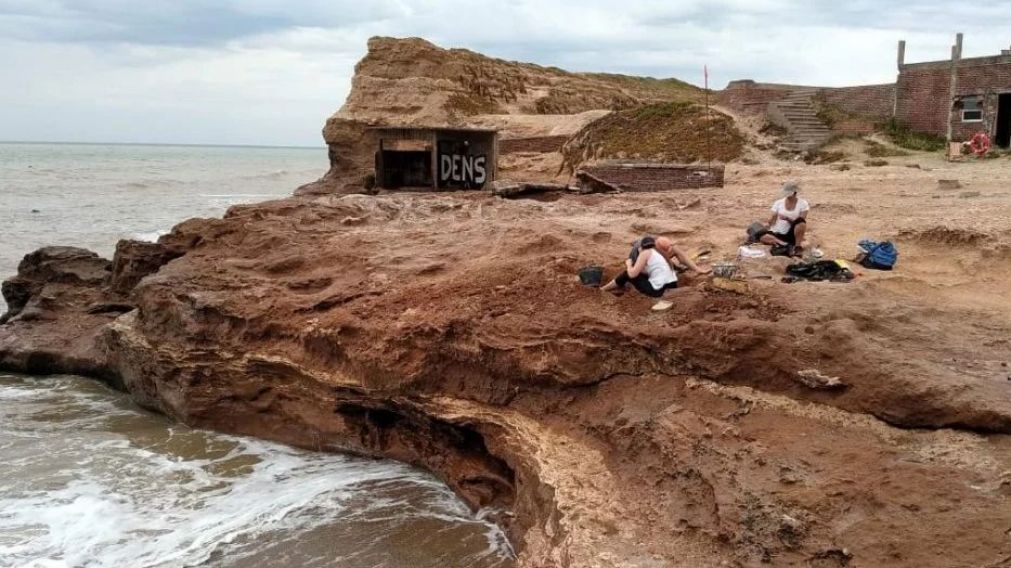 Hallan un gliptodonte de 3 millones de a�os en una playa de Mar del Plata.