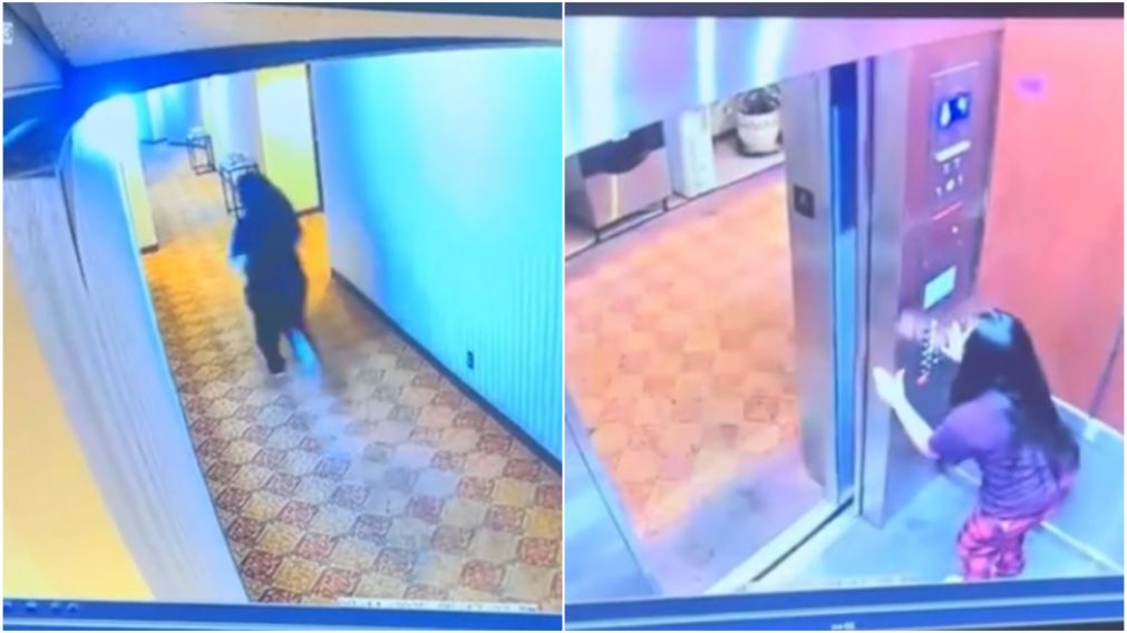 Aterrador: una joven es perseguida por un fantasma en los pasillos de un hotel.