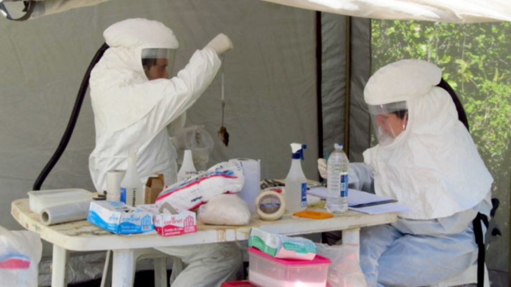 Un investigador del CONICET advirió que se necesita “una vigilancia epidemiológica mucho más fina” (Gentileza CONICET).