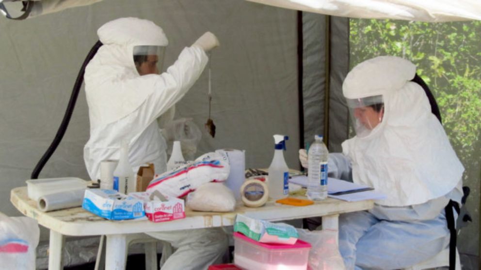 Un investigador del CONICET advirió que se necesita “una vigilancia epidemiológica mucho más fina” (Gentileza CONICET).