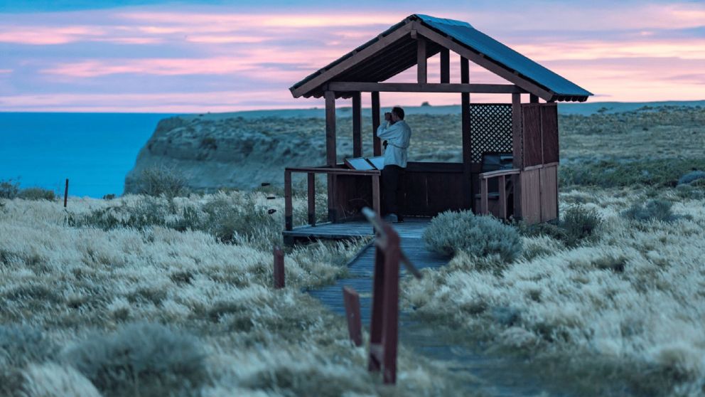 Un paisaje único: costa patagónica, acantilados y naturaleza en estado puro frente al Mar Argentino.