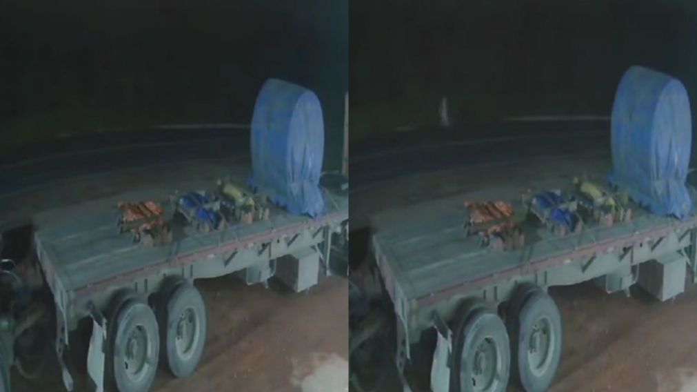 La extraña aparición ocurrió en plena madrugada y su grito desgarrador dejó a todos aterrados en redes (Captura video).