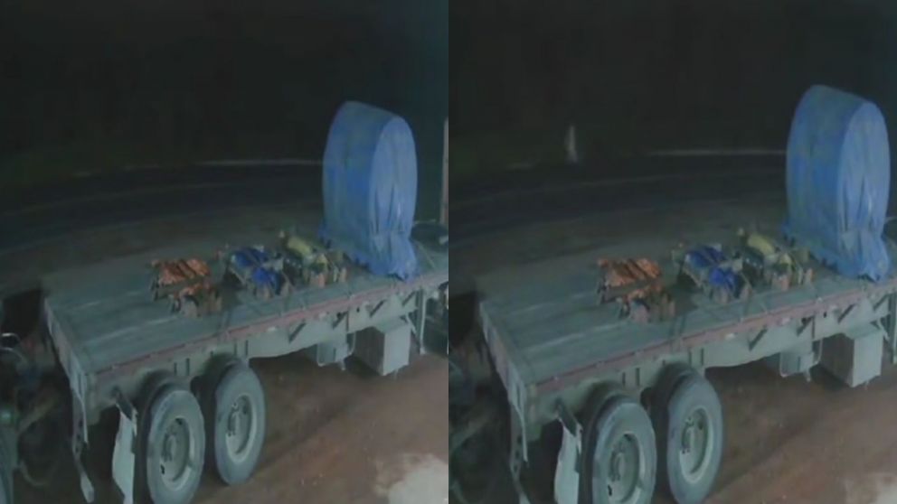 La extraña aparición ocurrió en plena madrugada y su grito desgarrador dejó a todos aterrados en redes (Captura video).