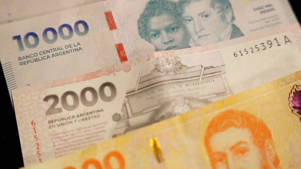 Cómo consultar el recibo de haberes en ANSES y acceder a los beneficios de enero.