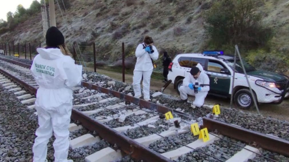 Agentes de la Guardia Civil recogen pruebas para investigar las causas del accidente (Gentileza El Español).