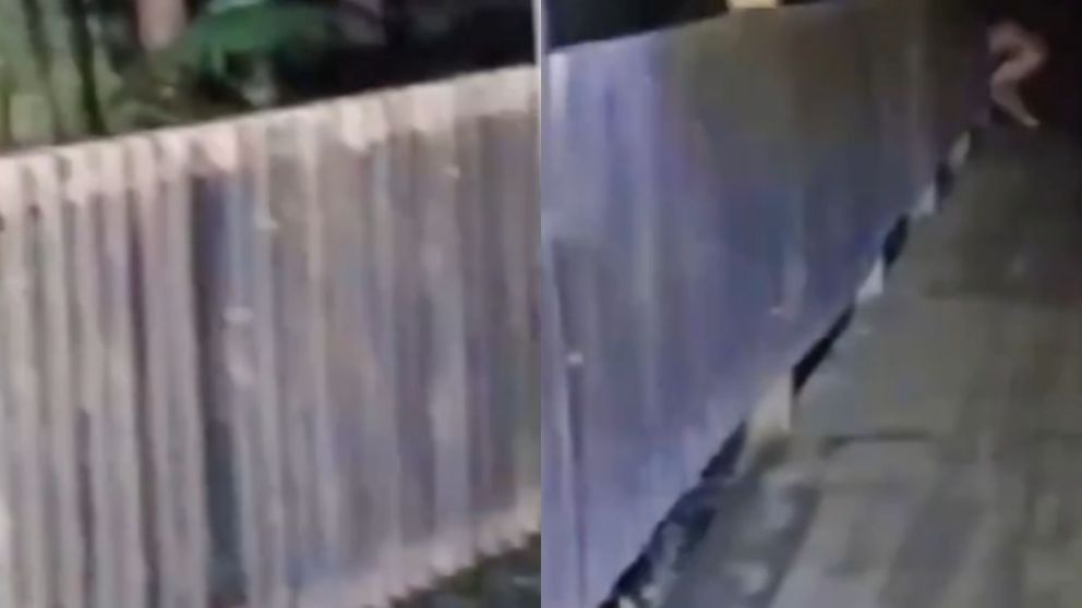 La extraña criatura se hizo presente en el bosque mientras los amigos recorrían el lugar (Captura video).