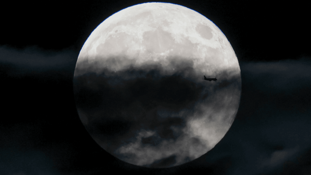 La primera Luna Nueva del año: Un giro determinante para el destino de seis signos del zodíaco.