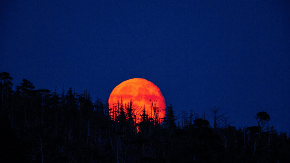 Llega la primera Luna Roja del a�o.