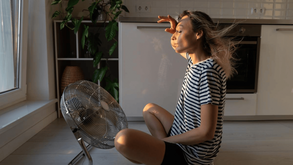 El secreto para transformar tu casa en un lugar fresco frente al verano sofocante.