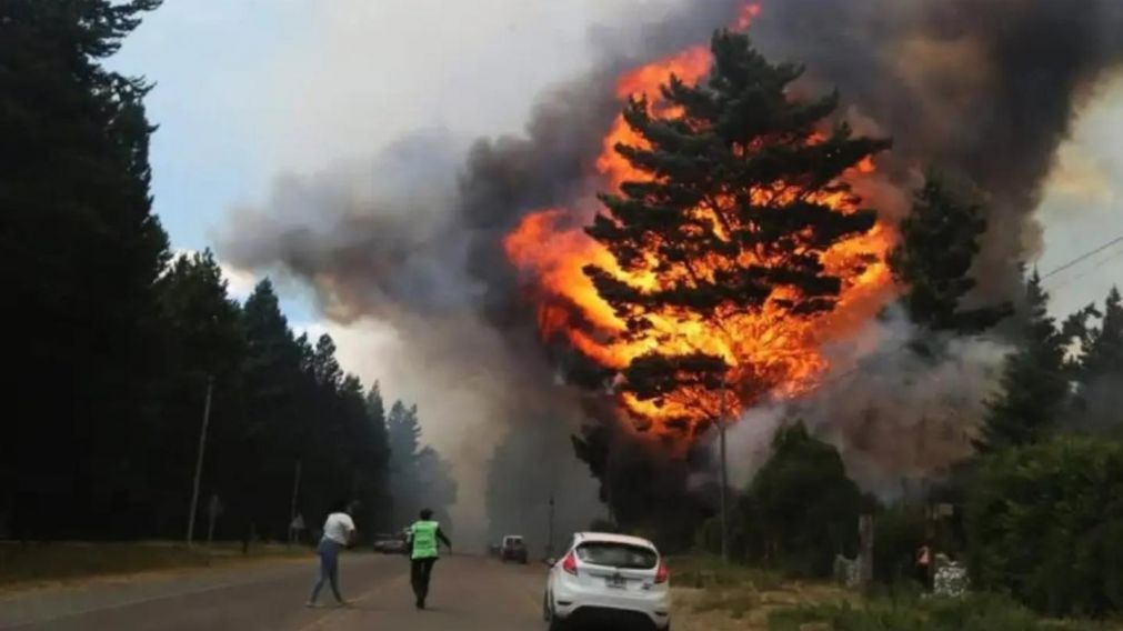Incendios en Chubut: la noticia alentadora en medio del desastre y la desesperación.