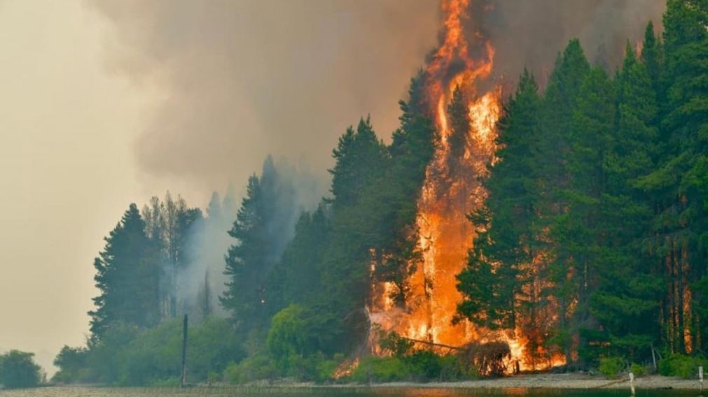 Un nuevo foco de incendio afecta a los bosques de Chubut.