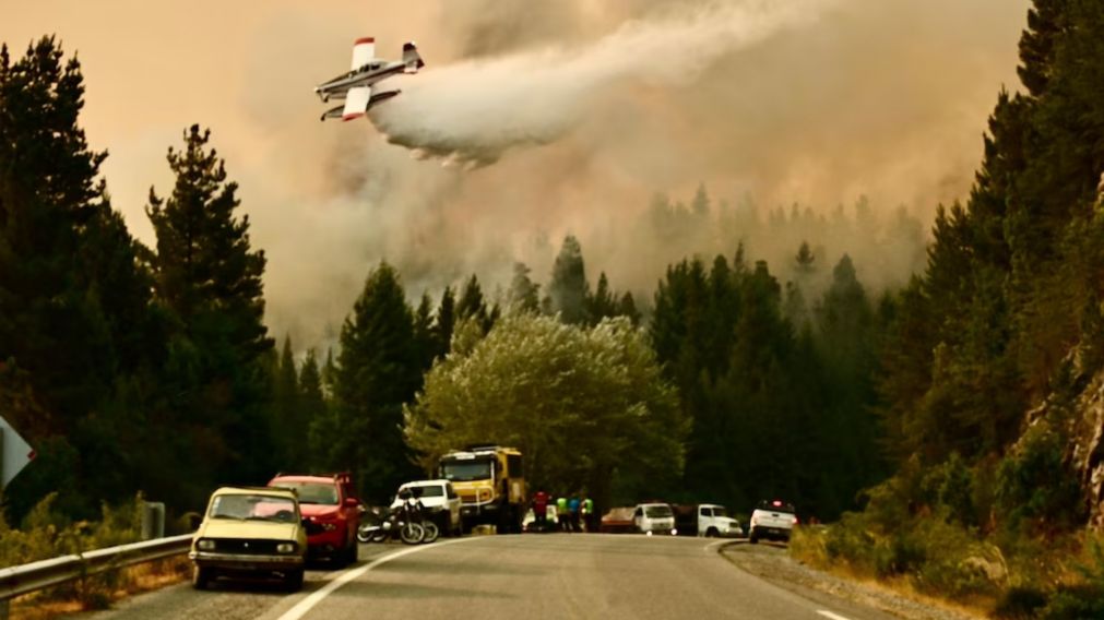 Incendios en el sur: 22 de los 32 focos detectados han sido completamente extinguidos.