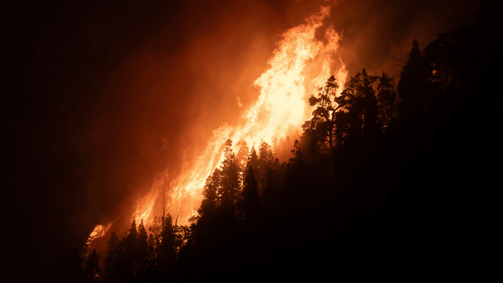 Imágenes impactantes de la situación que atraviesa la cordillera chubutense.