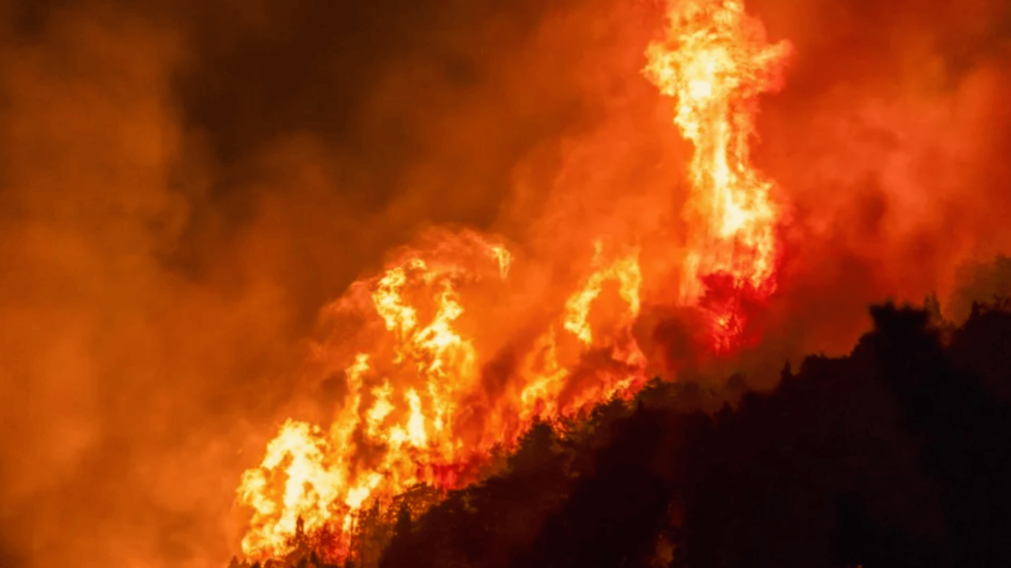 Preocupan los incendios en Chubut.