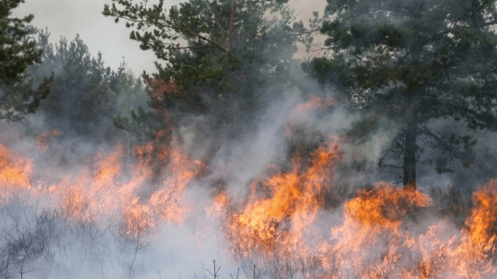 El incendio forestal sigue devorando hectáreas en Chubut (X).