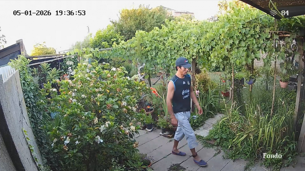 El ladr�n ingresando a la casa donde rob�  con la tobillera puesta.