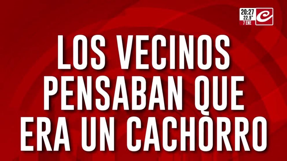 Crónica HD