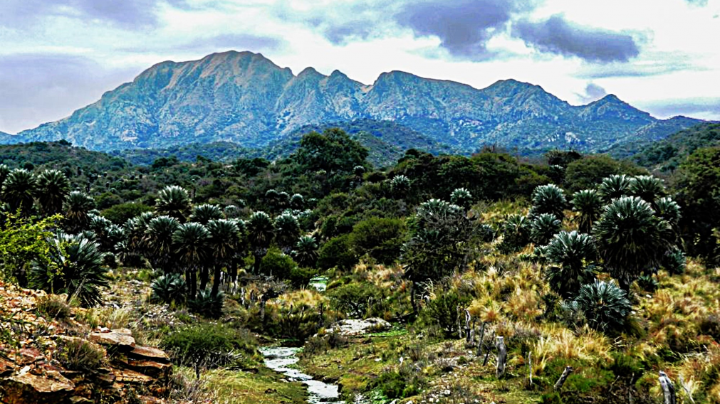 Senderos, monte nativo y silencio absoluto definen la experiencia en este parque cordob�s.