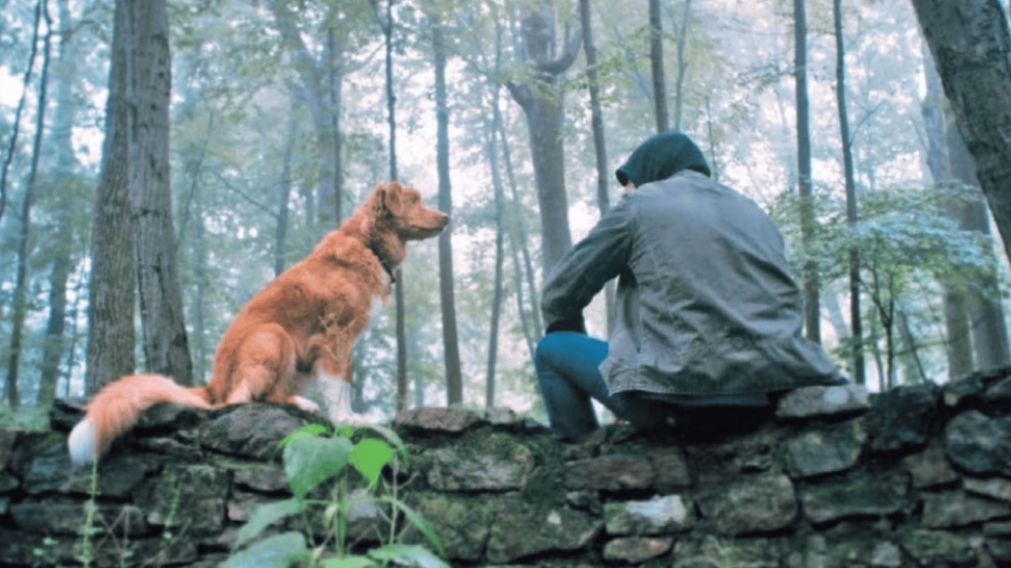 El animal, como vehículo del pánico y el terror