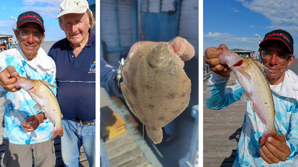 Crónica Pesca: el pique de la semana, noticias y detalles claves
