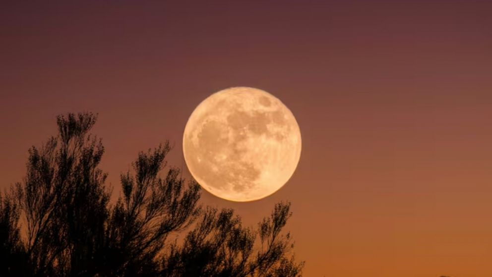 Arranca la luna nueva en piscis: c�mo puede afectar a cada uno de los signos 
