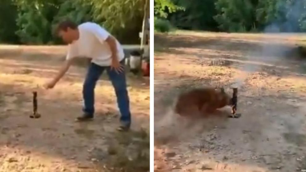 Así se vengó un perro cansado de la pirotecnia. (Captura de video)
