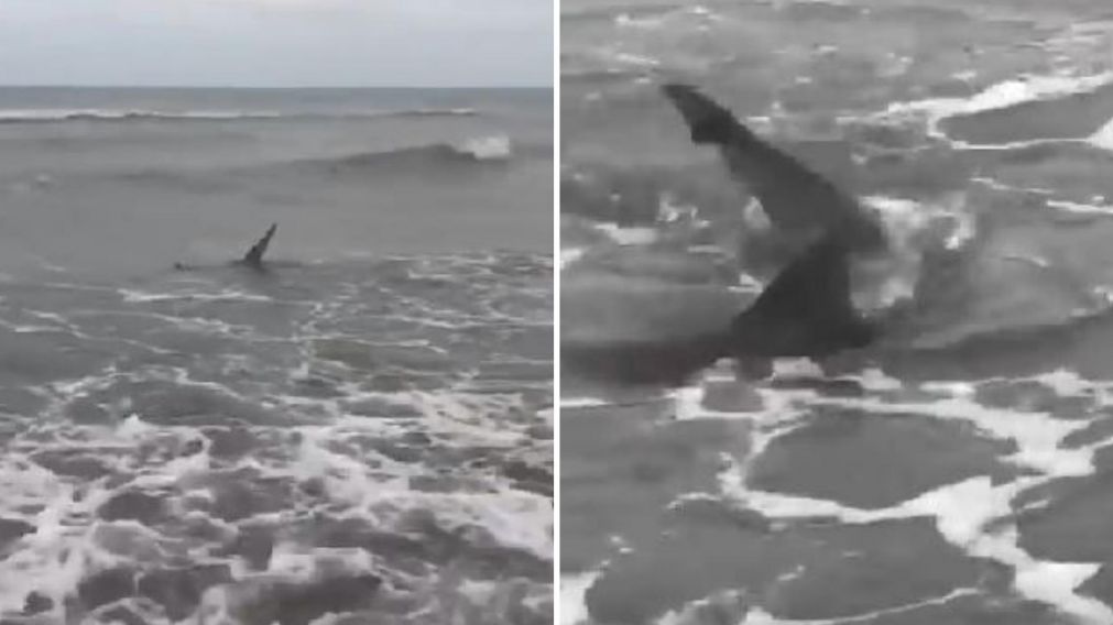 El momento fue grabado por las personas que estaban en la playa (Captura).