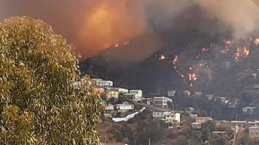 El incendio en Valpara�so dej� 150 casas destruidas.