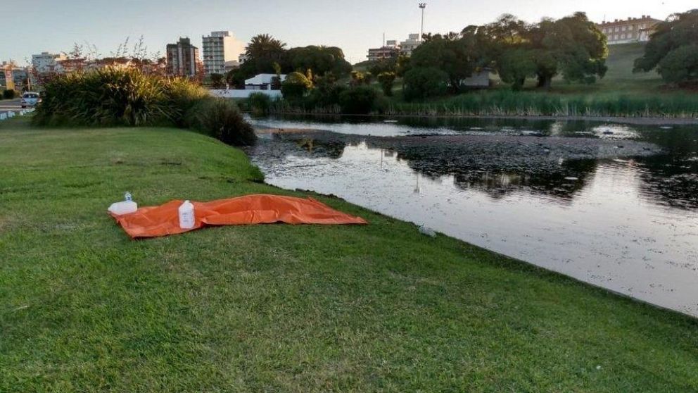 El accidente ocurrió entre los balnearios 5 y 6 del complejo.