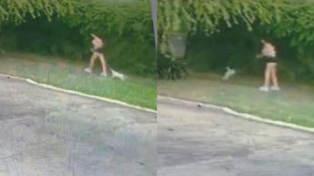 Las càmaras de seguridad revelaron el monstruoso episodio. (Captura de video)