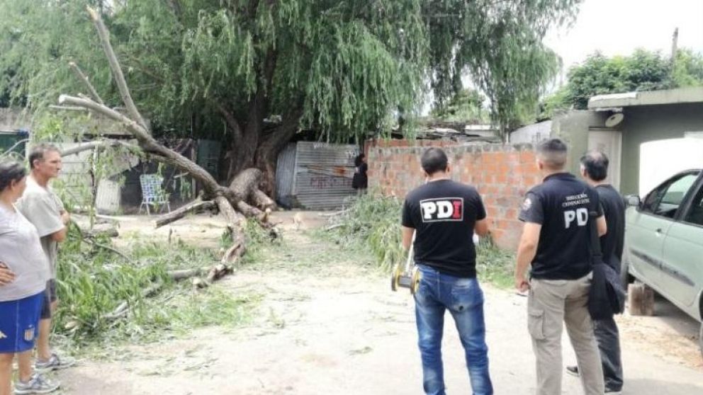 Un árbol cayó sobre el cable la vivienda y murió un hombre.