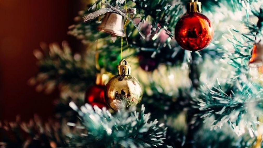 El árbol que eligió el hombre no fue aprobado por su familia (Imagen ilustrativa)