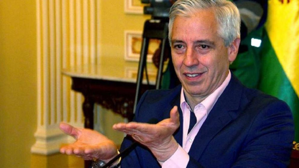Al igual que Evo Morales, el ex vicepresidente boliviano llegó a la Argentina y pide refugio.