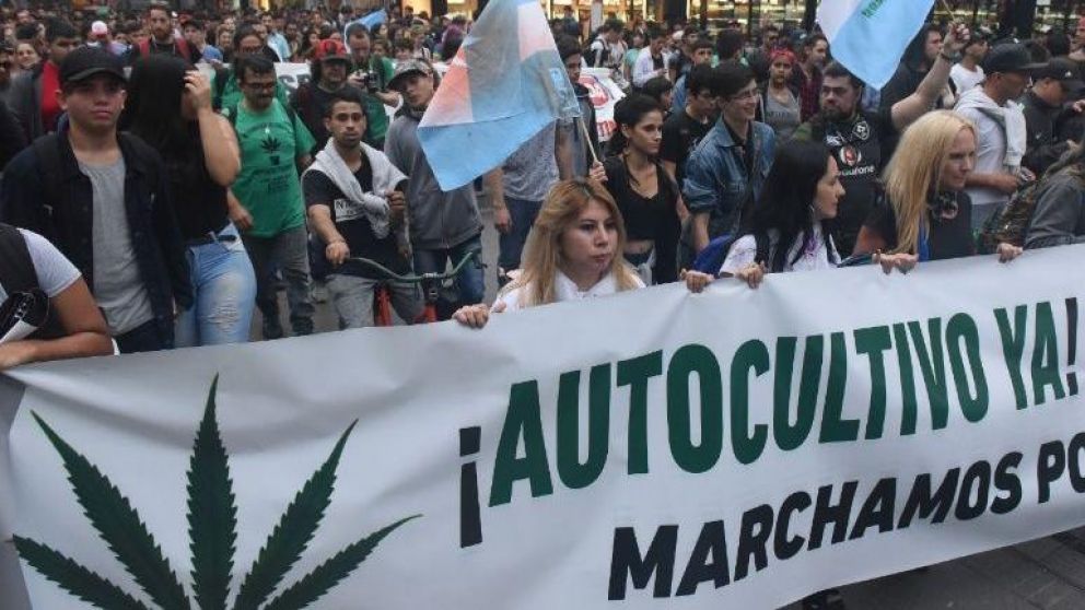 Presentan un acuerdo para regular legalmente el uso del cannabis en Rosario.