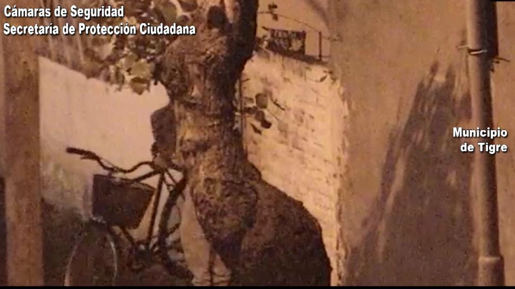 La bicicleta en cuestión, registrada por las cámaras municipales.