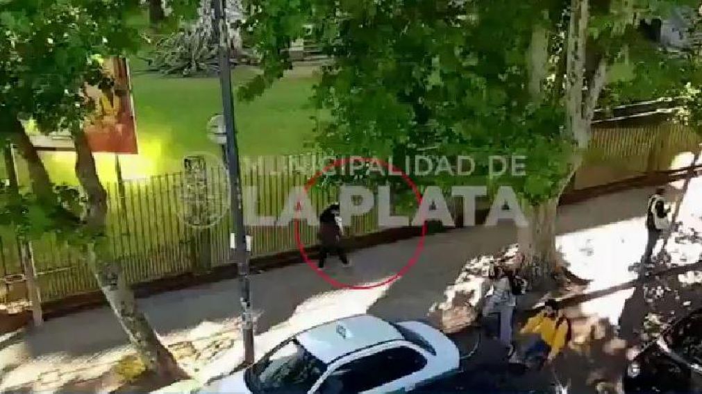 Cámaras de seguridad la captaron en La Plata (Captura de video).