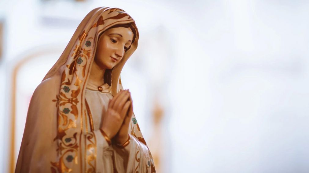 Vecinos de Santa Fe aseguran que la Virgen María apareció en una palmera.