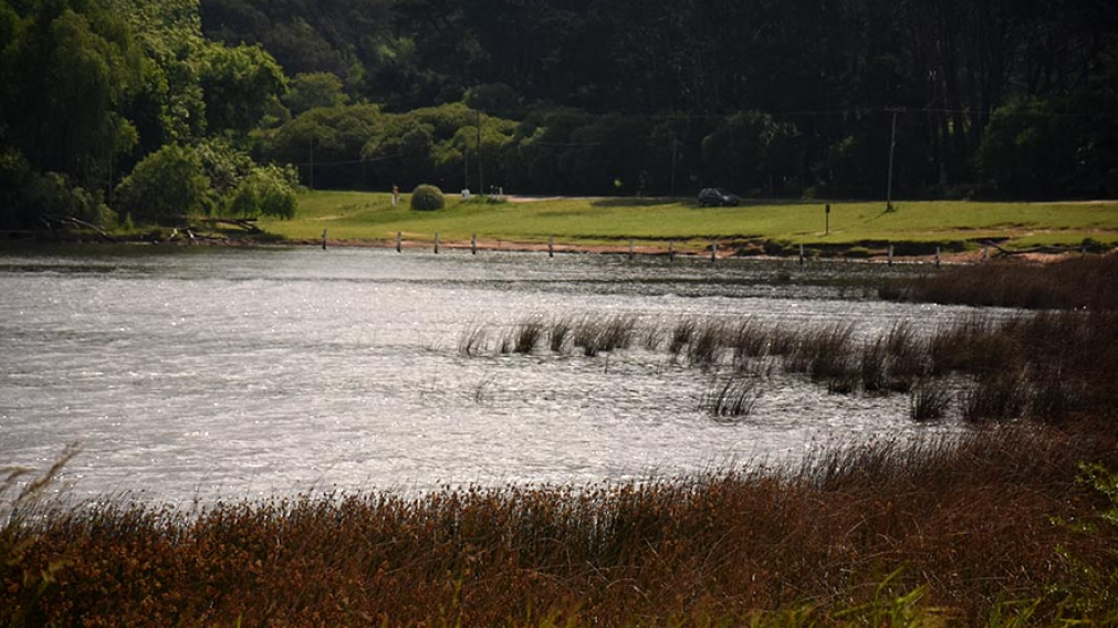 Horror en la Laguna de los Padres.