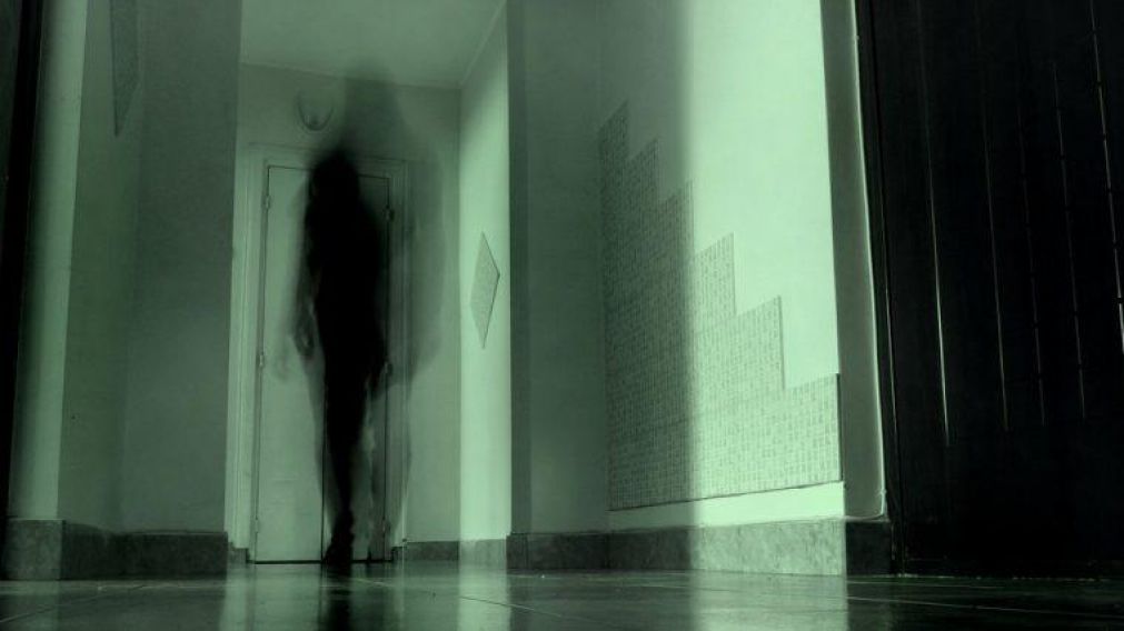 Los fantasmas parecen ser más normales de lo que uno cree.