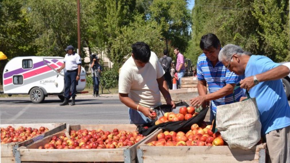 Regalaron manzanas.