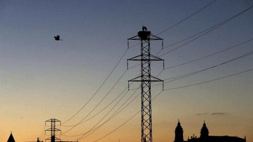 Los cables atravesaban la Ruta 3 y distribuían los servicios a tres grandes ciudadades patagónicas (Imagen ilustrativa)-