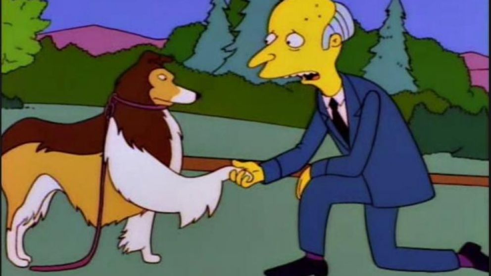 El nombre del cachorro hace alusión al animal que apareció en Los Simpson.