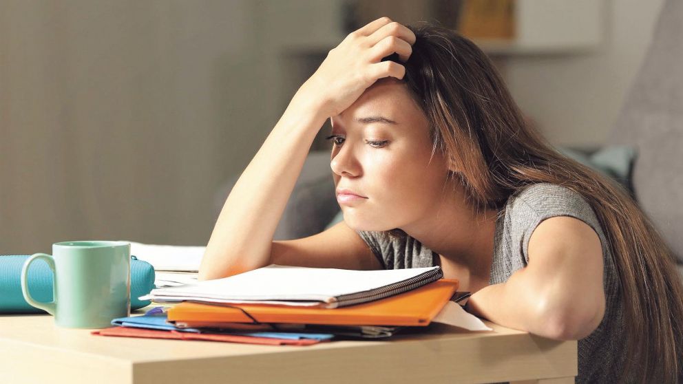 Es fundamental que los padres estimulen y acompañen durante la etapa de estudio.