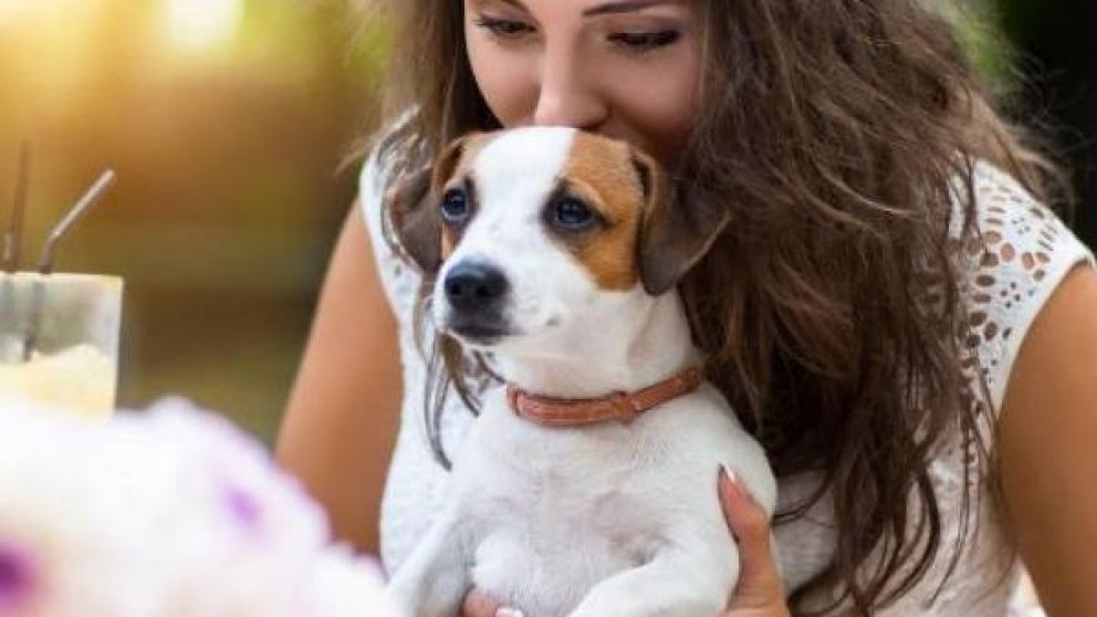 El animal y su dueña ahora son celebridades de internet (Imagen ilustrativa).