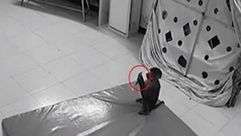 El mono, junto al celular de su cuidadora, comprando artículos.