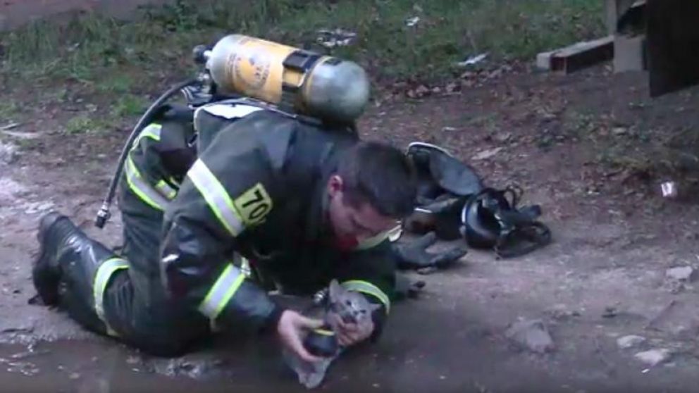 Así bombero héroe reanimó a gatito asfixiado en un incendio