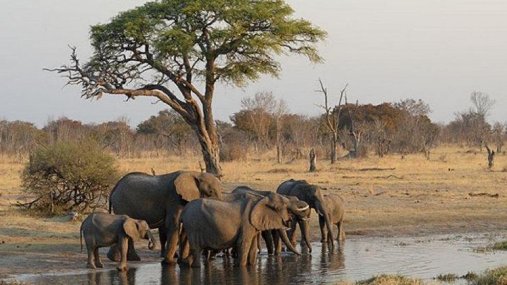 Gran parte del sur de África atraviesa la peor sequía de las últimas dos décadas (Foto ilustrativa)