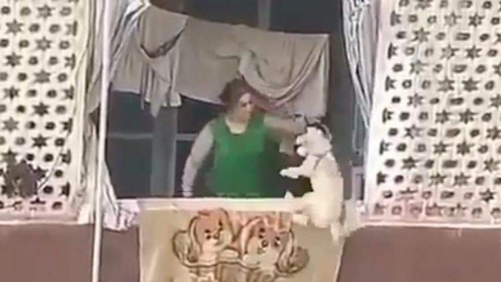 La mujer fue filmada cuando golpeó a su perro.